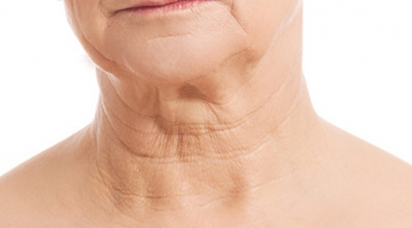 8d8758cf816873ac4fdeca276c652e6e_1774335800_6799.jpg 8d8758cf816873ac4fdeca276c652e6e_1774335800_6799.jpg